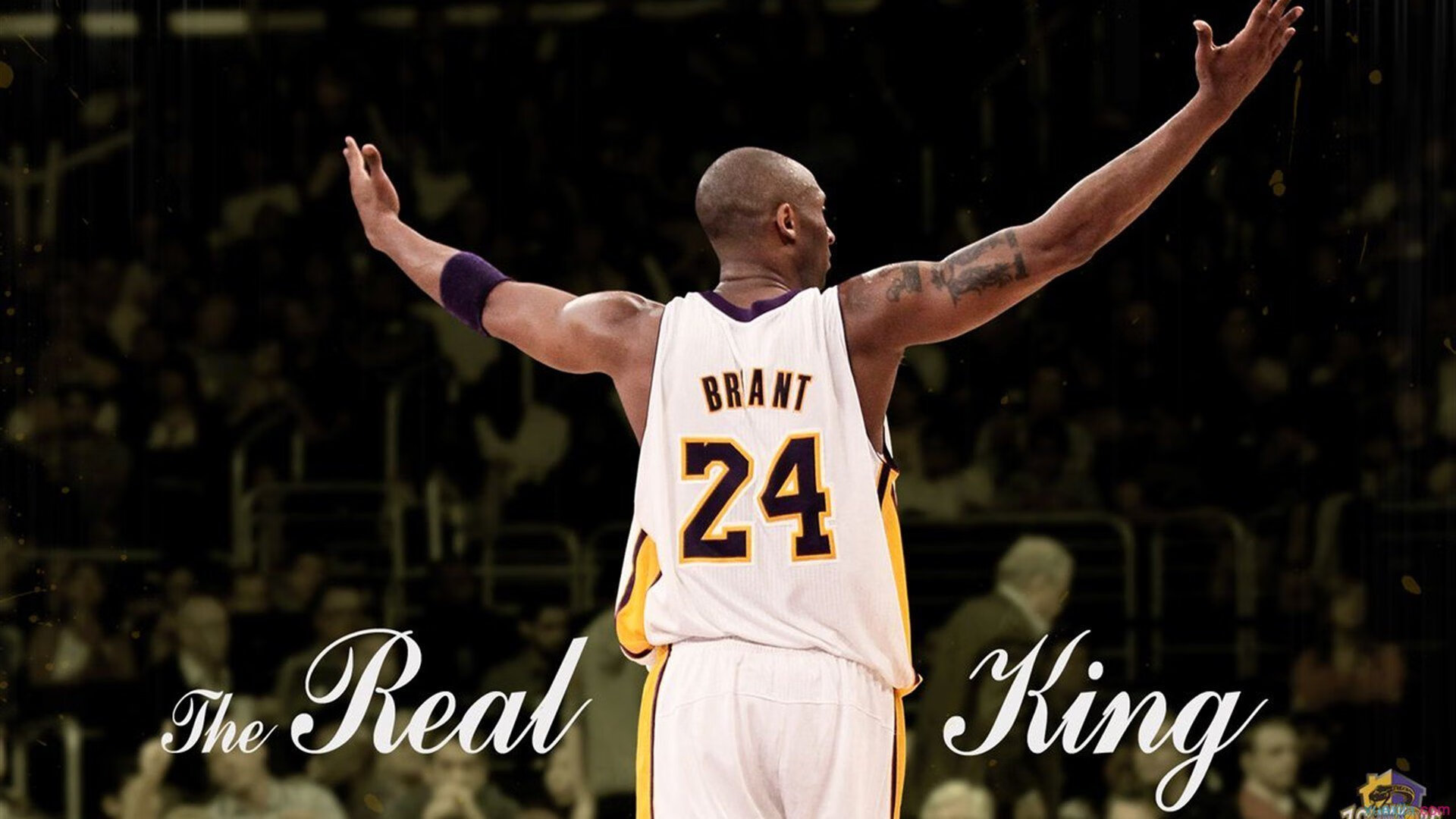 开云app-Doinb赛事官方发布逆转新规，篮网争议不断！